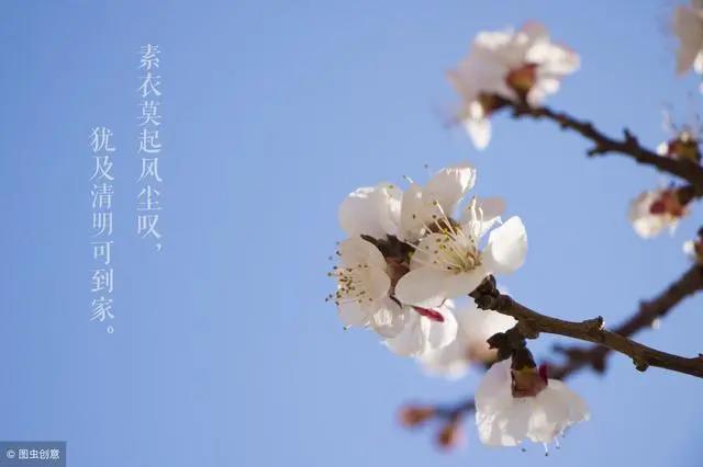 ũ粻꣬ʯͷﶼȡе