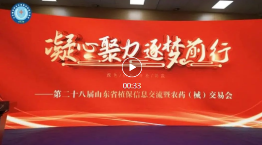 50000+ũ˼ᣬ28ɽֲ˫ʢĻ
