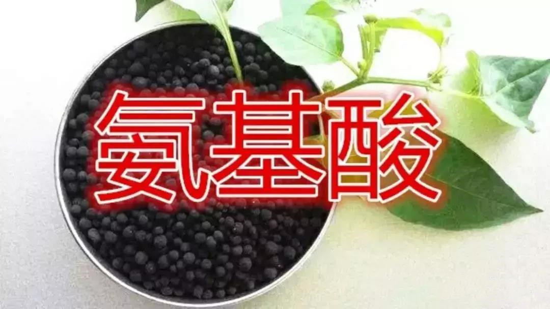 ᡢᡢֳȹҶȫ