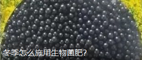 ôʩʣ