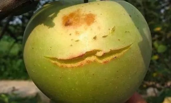 ѣѣѣѹΪȱ