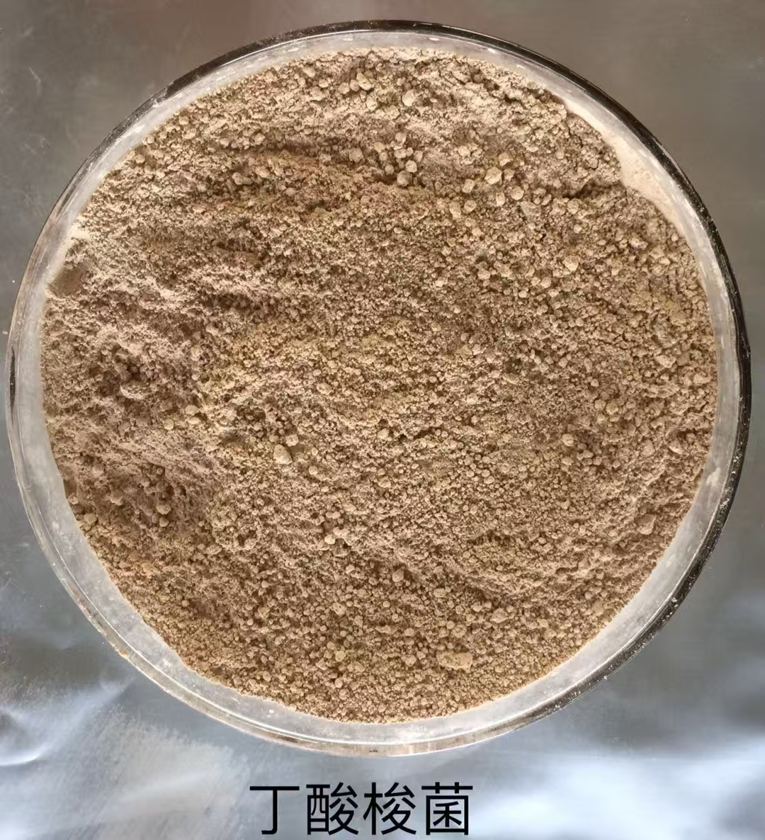 Ϻ쳤ؾ