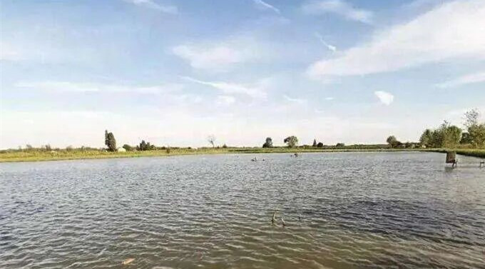 Խ������Ͷι����ȫ���ԣ���ѧͶι��Ч��